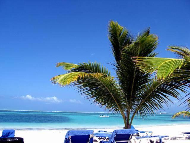 Larimar Beach Punta Cana Hotel ภายนอก รูปภาพ